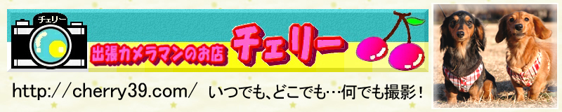 運動会撮影受付中!バナー